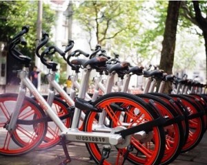 Liu Erhai, an early investor in Mobai: when you are strong enough Liu Erhai, an early investor in Mobai: when you are strong enough